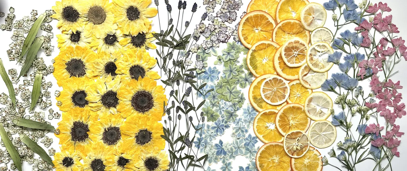 今回のメイン素材。ひまわり、紫陽花、柑橘類、夏野菜、デルフィニウムなどの押し花・押しフルーツ